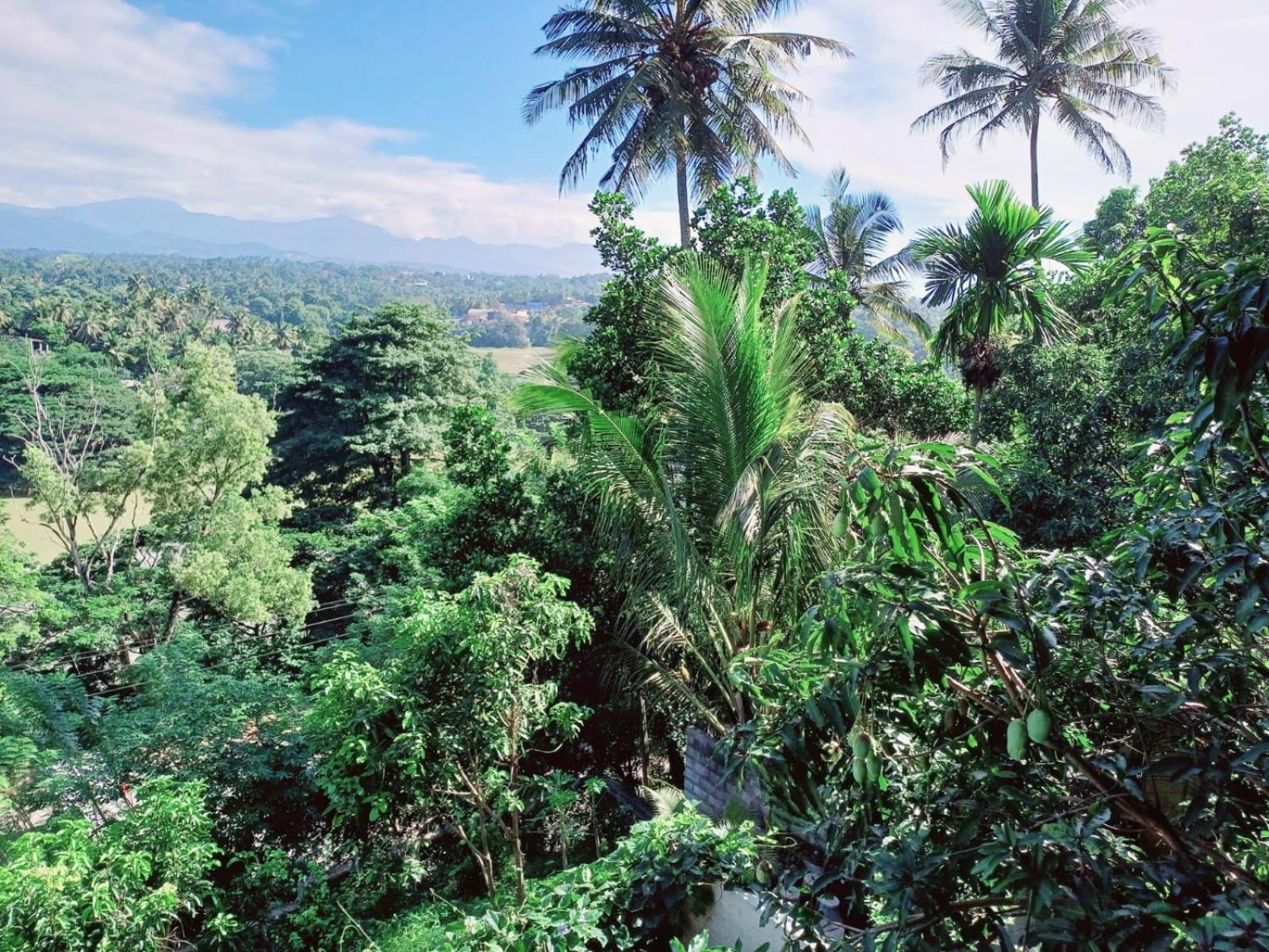 The Traveller แคนดี้ ภายนอก รูปภาพ