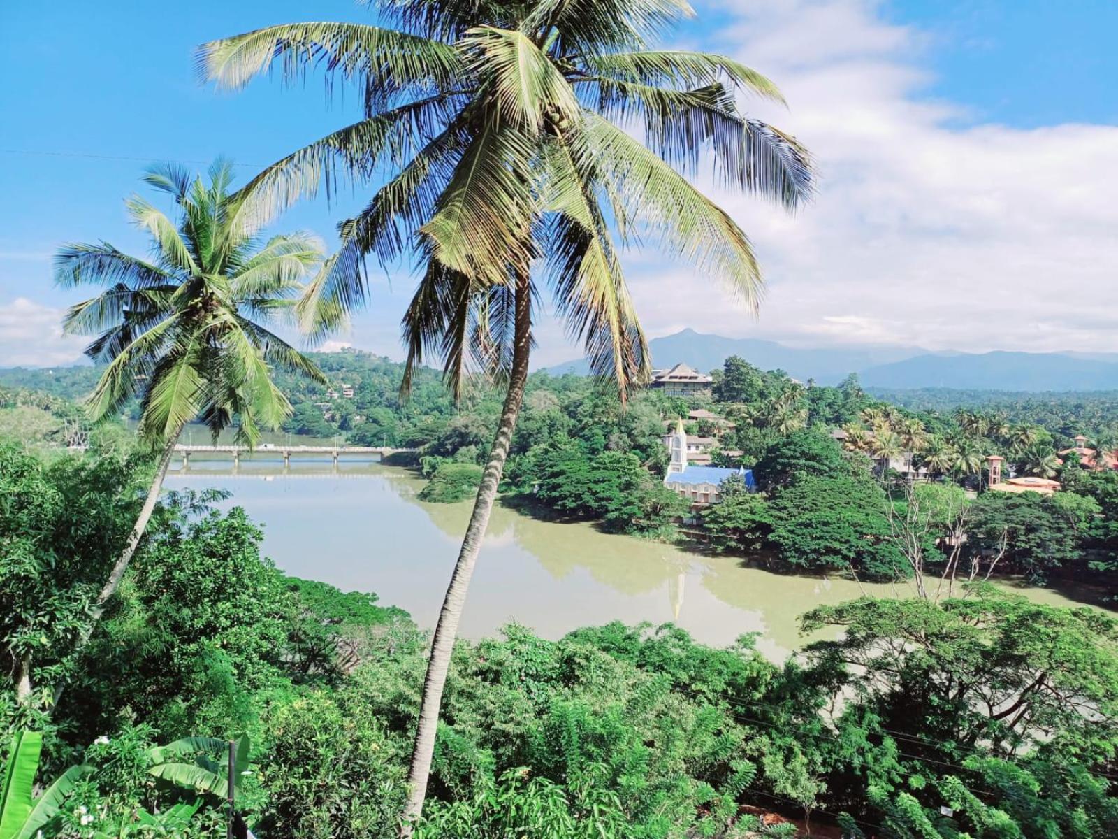 The Traveller แคนดี้ ภายนอก รูปภาพ